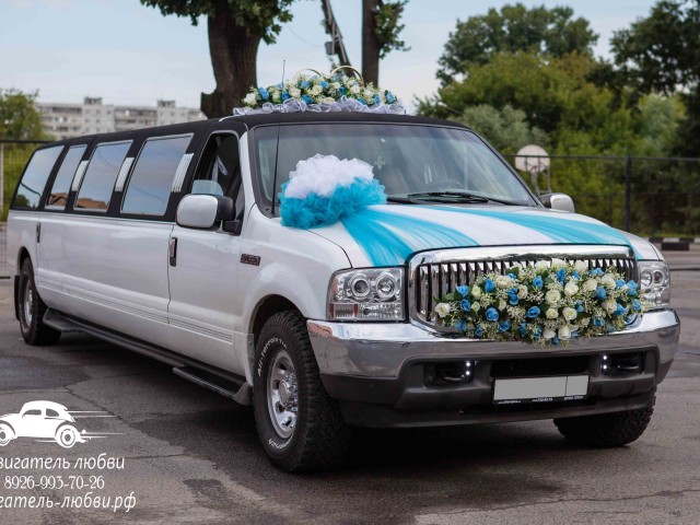 Комплект свадебных украшений на лимузин — Морозное утро